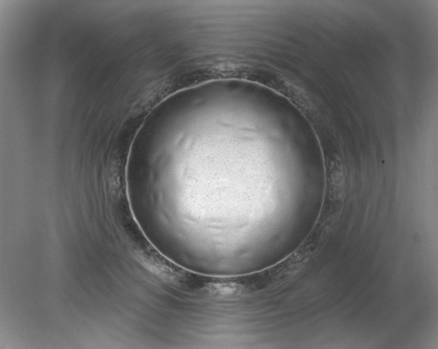 X0000079310654200612011817