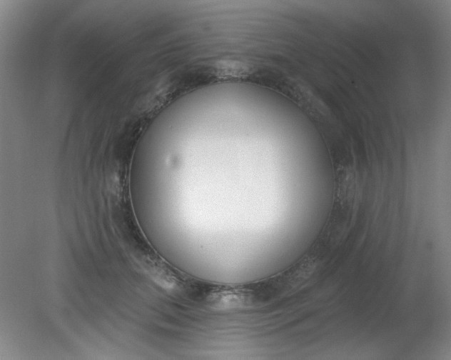 X0000079310655200612011817