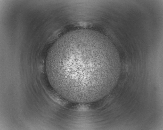 X0000079310656200612011817