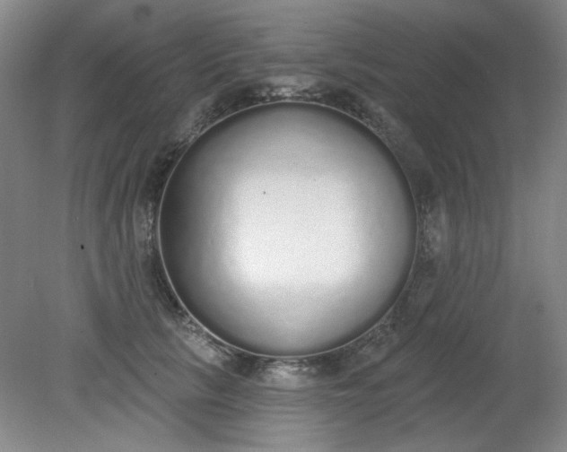 X0000079310657200612011817