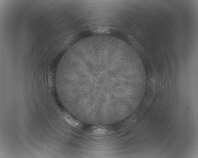 X0000079310658200612011817
