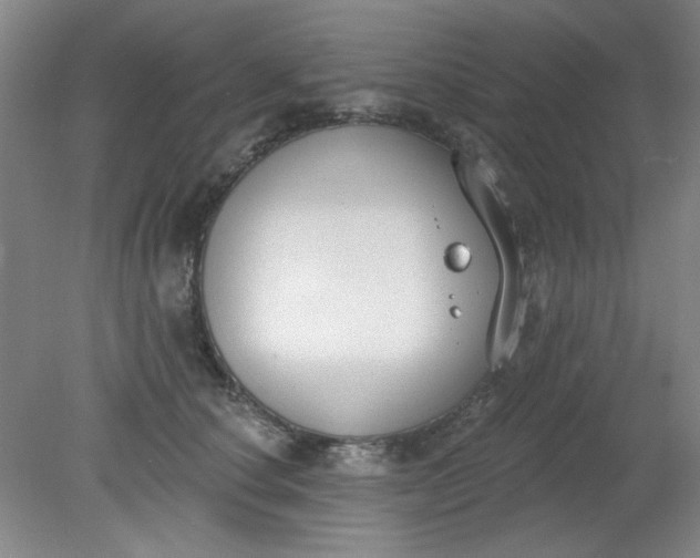 X0000079310660200612011817