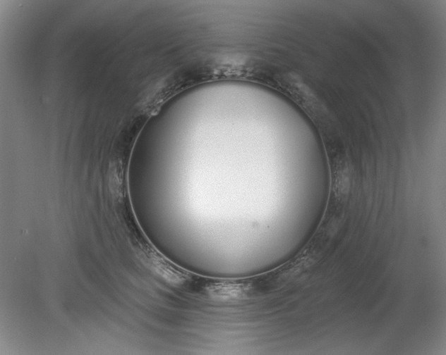 X0000079310661200612011817