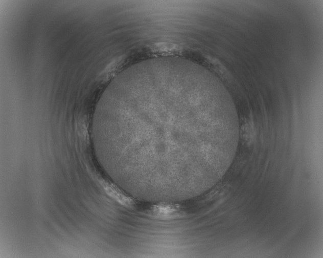 X0000079310662200612011817