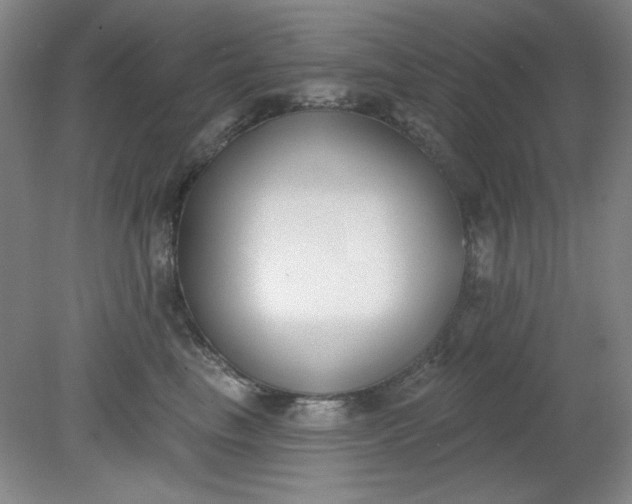 X0000079310665200612011818