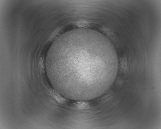 X0000079310667200612011818