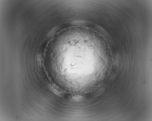 X0000079310669200612011818