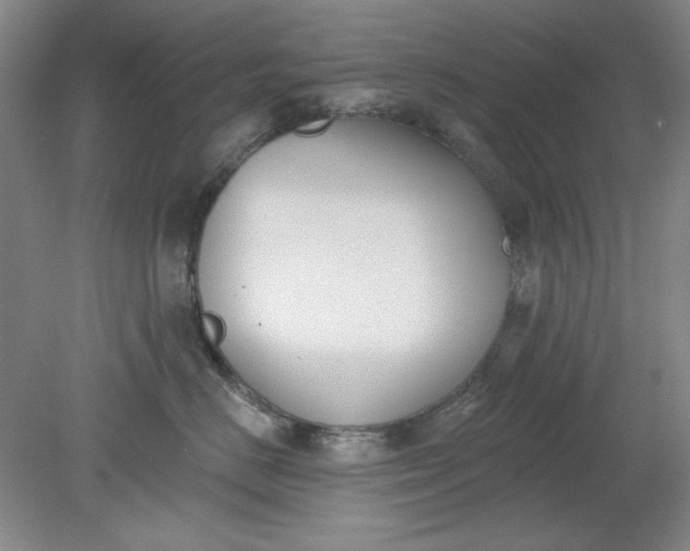 X0000079310670200612011818