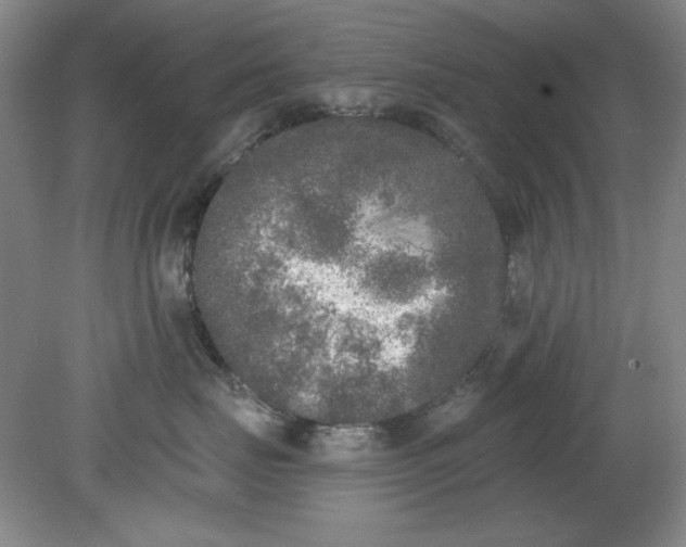 X0000079310671200612011818