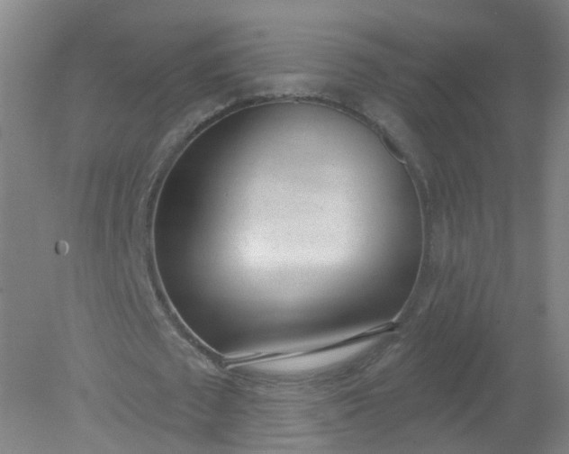 X0000079310673200612011817