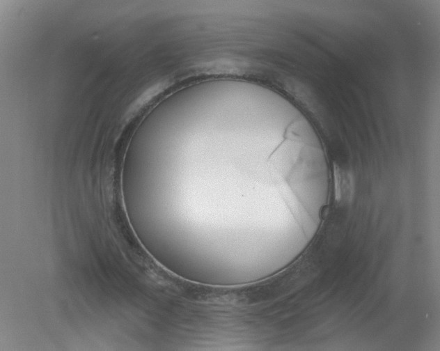 X0000079310675200612011817