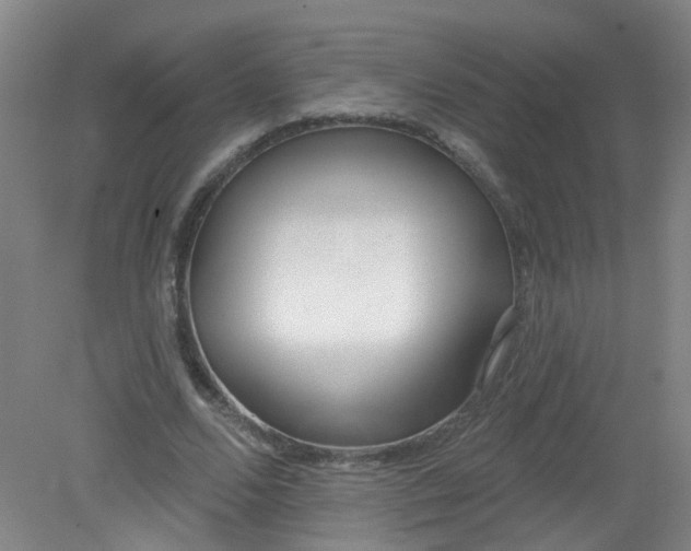 X0000079310680200612011817