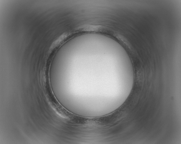 X0000079310682200612011817