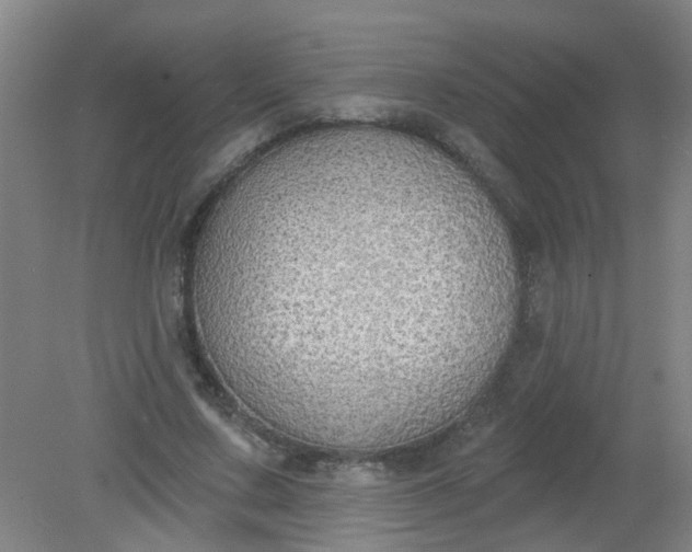 X0000079310683200612011817