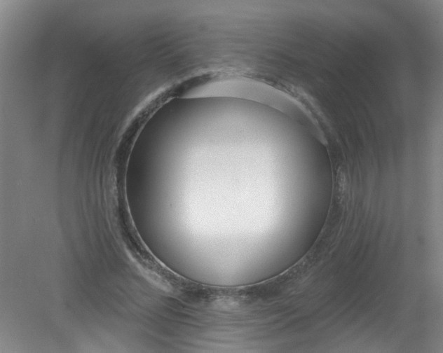 X0000079310684200612011817