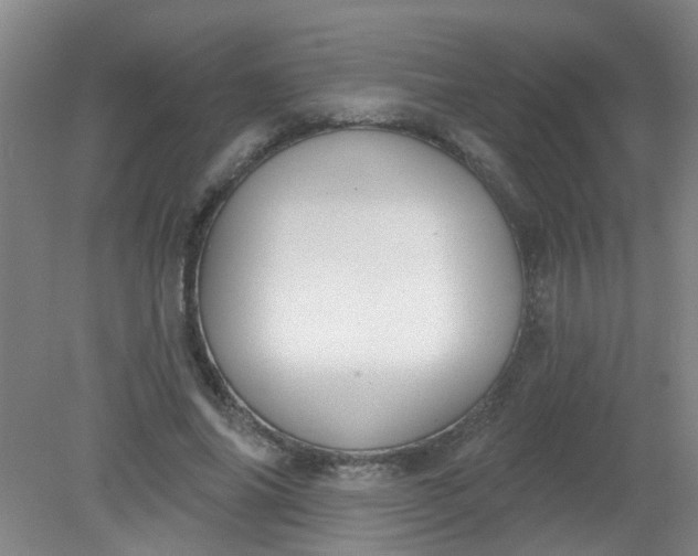 X0000079310686200612011817