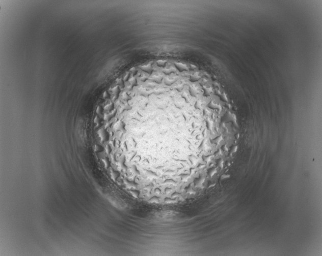 X0000079310695200612011816