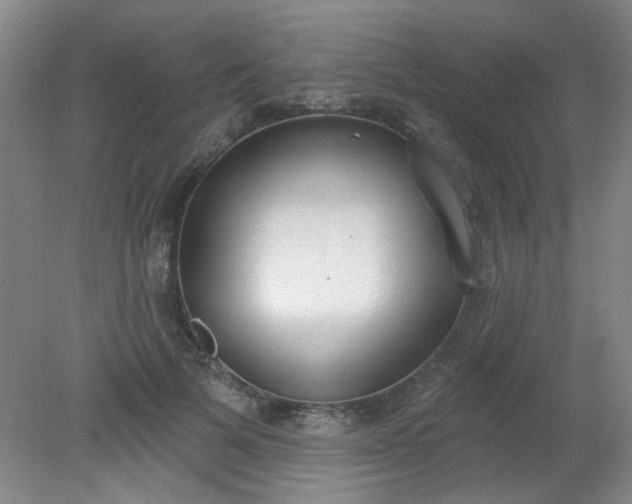 X0000079310697200612011816