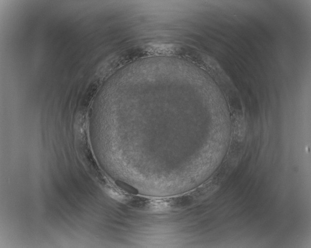 X0000079310701200612011816