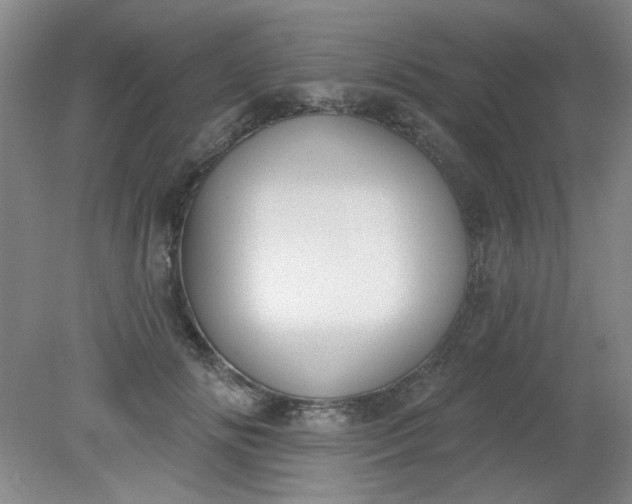 X0000079310702200612011816