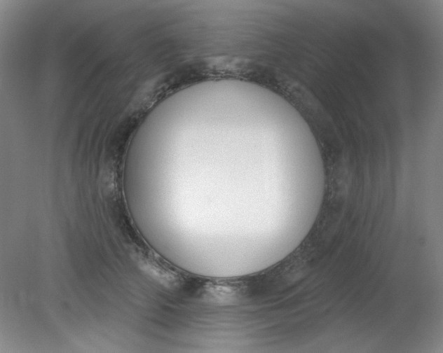 X0000079310706200612011816