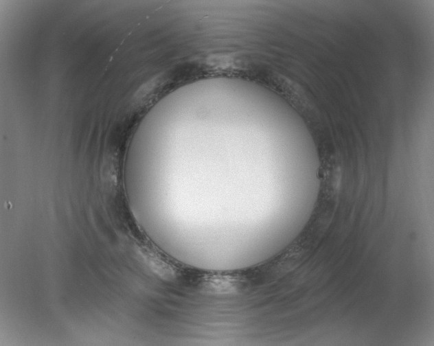 X0000079310710200612011816