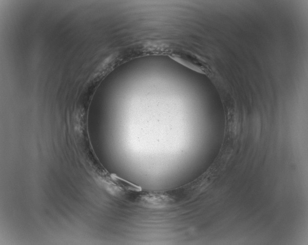 X0000079310712200612011816