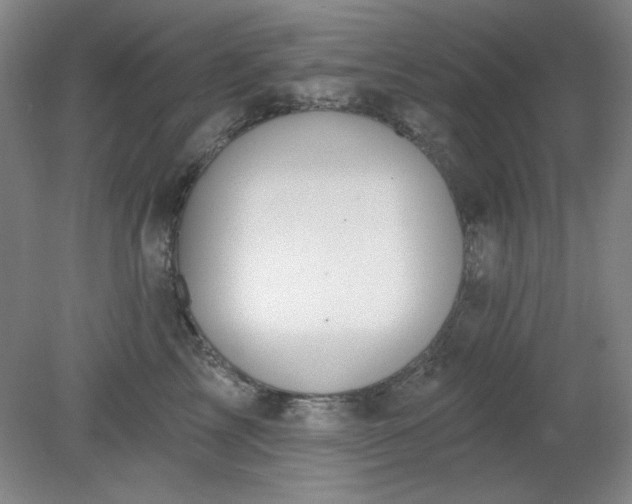 X0000079310713200612011816