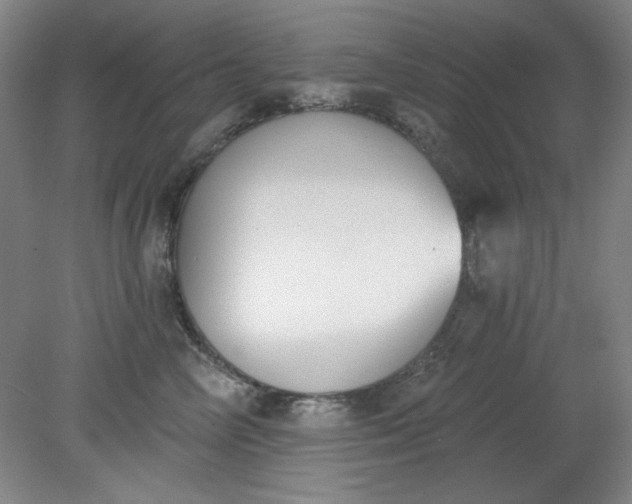 X0000079310714200612011816