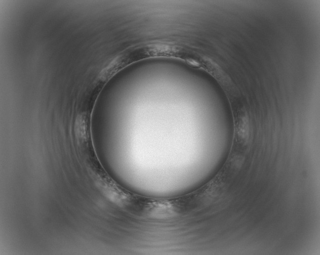X0000079310715200612011816