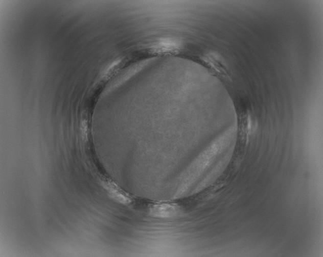 X0000079310716200612011816