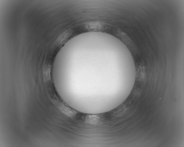 X0000079310717200612011816