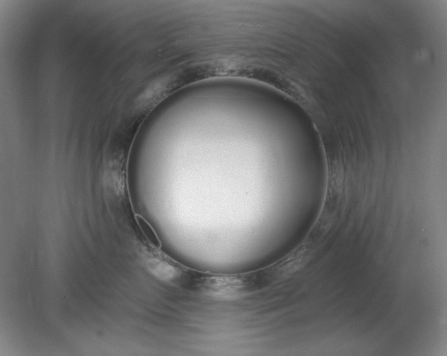 X0000079310719200612011816
