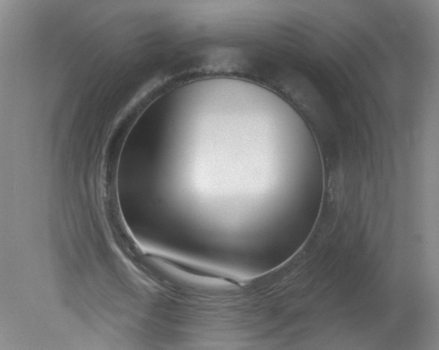 X0000079310722200612011815