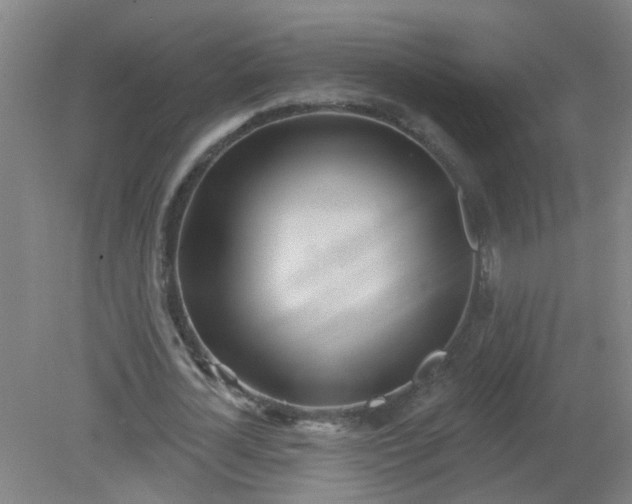 X0000079310724200612011815