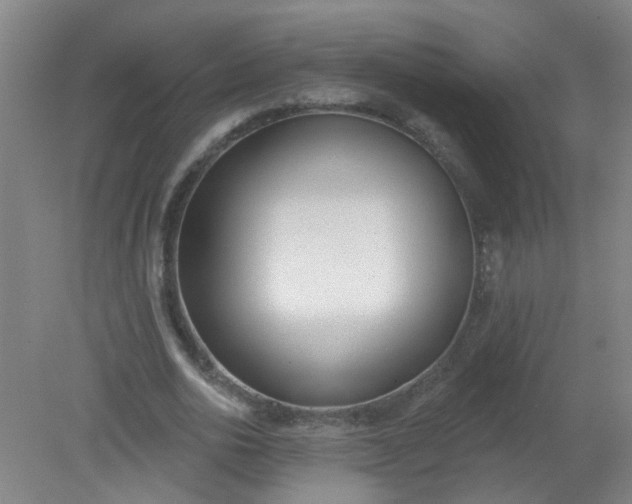 X0000079310726200612011815