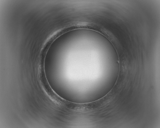 X0000079310728200612011815