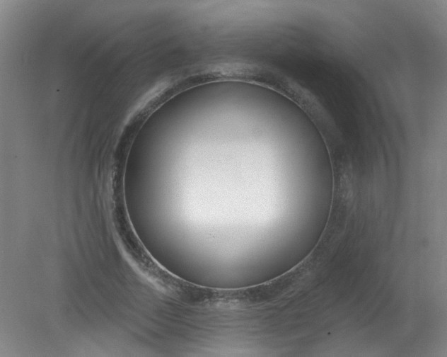 X0000079310730200612011815