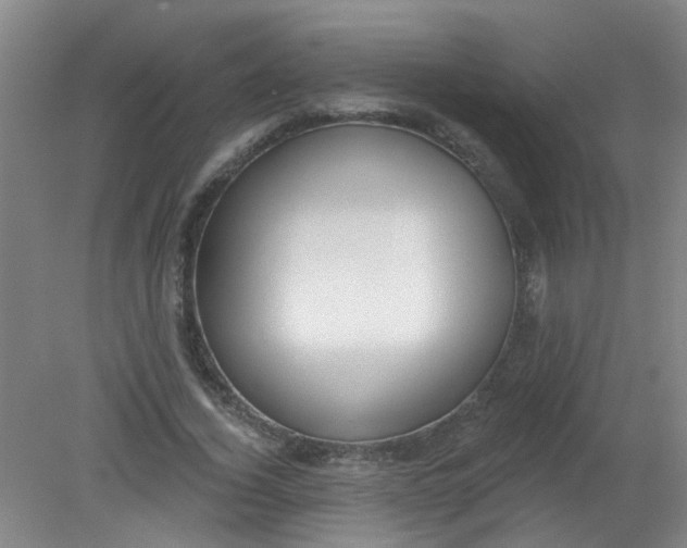 X0000079310732200612011815