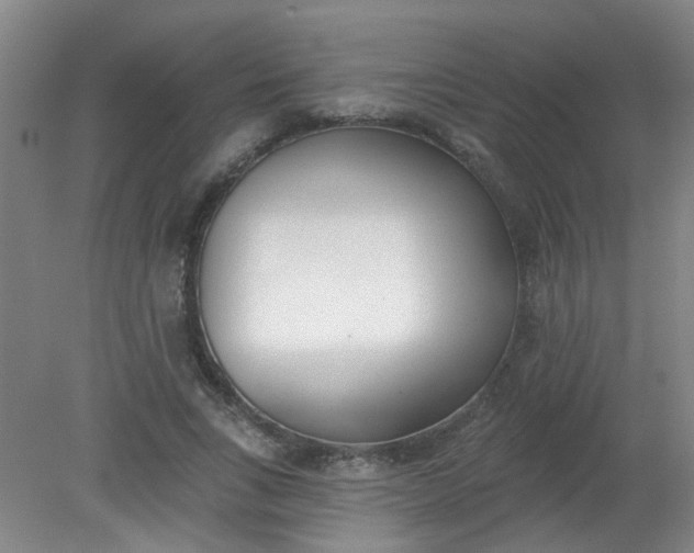X0000079310735200612011815