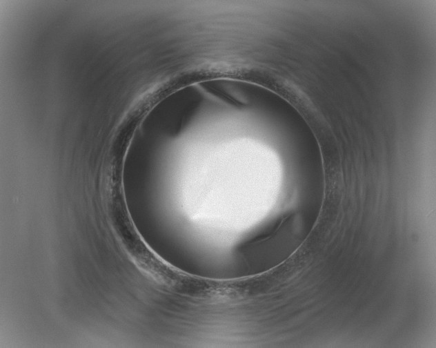 X0000079310736200612011815