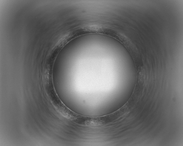 X0000079310739200612011816