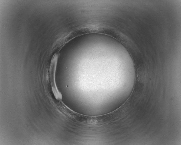 X0000079310740200612011816