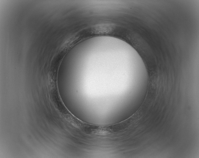 X0000079310743200612011816
