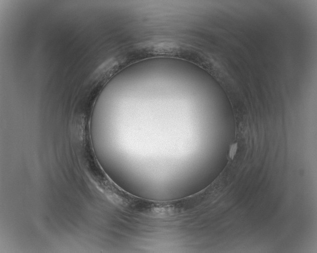 X0000079310744200612011816