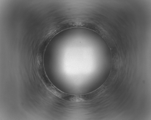 X0000079310747200612011816