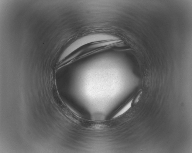 X0000079310748200612011816