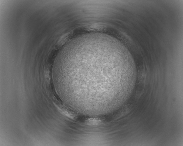 X0000079310749200612011816