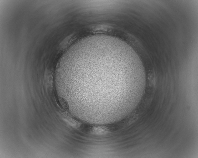 X0000079310753200612011816