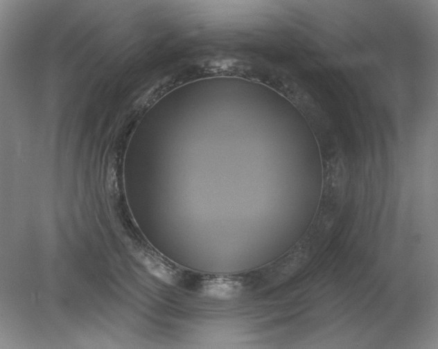 X0000079310754200612011816